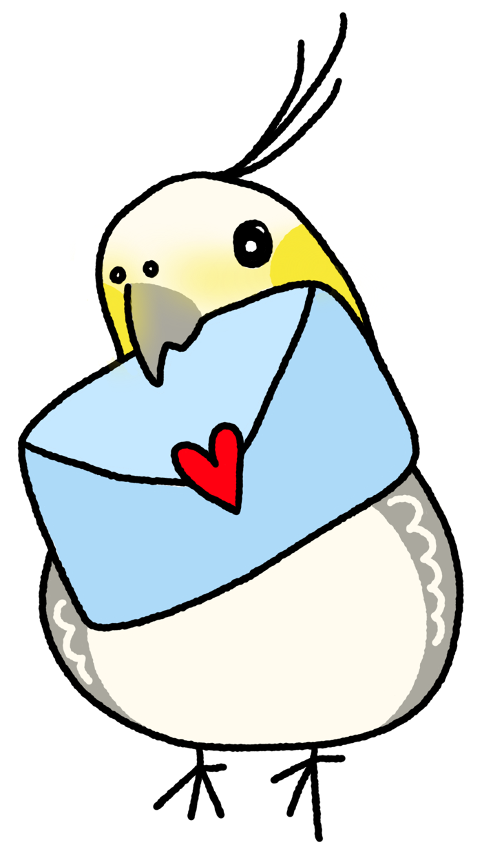 叼著信的玄鳳鸚鵡