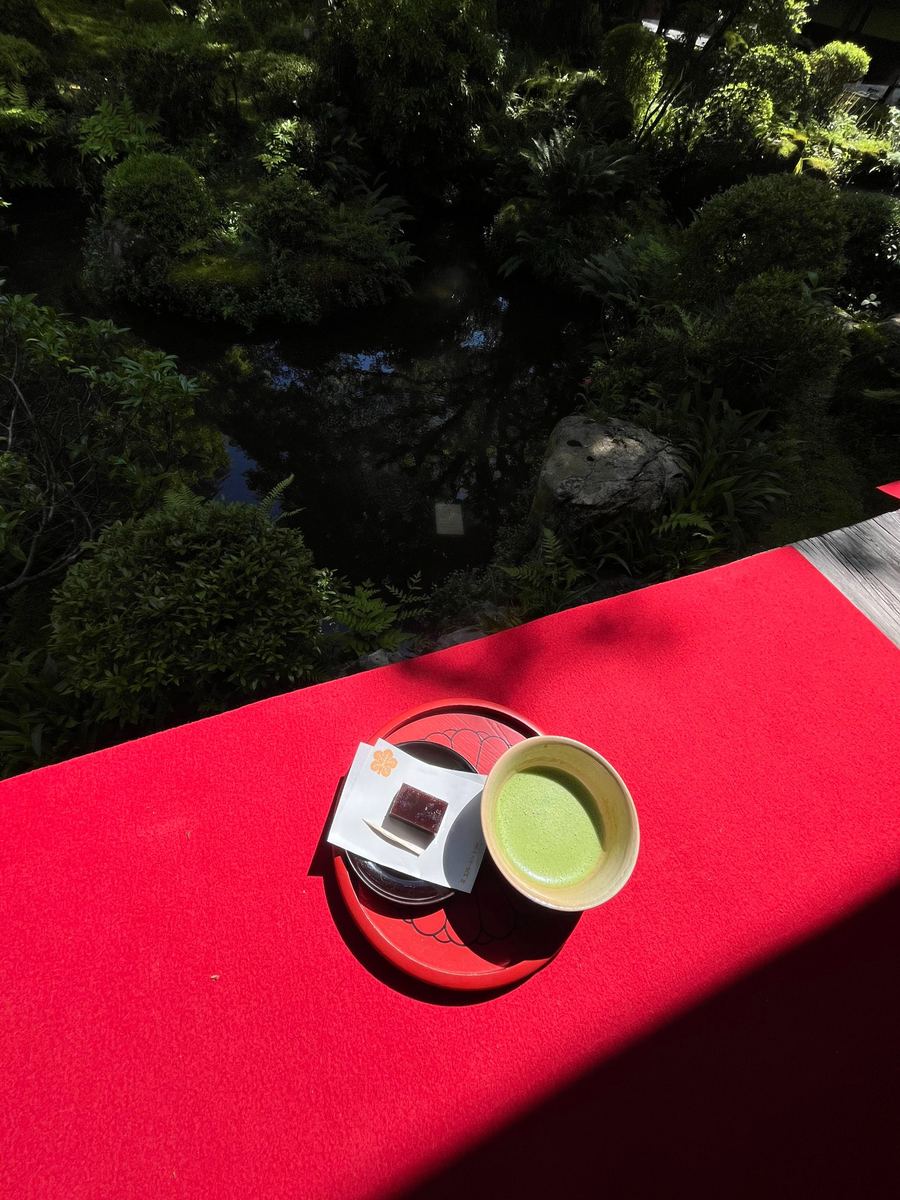 日式庭園旁的紅毯上，一碗抹茶與和菓子